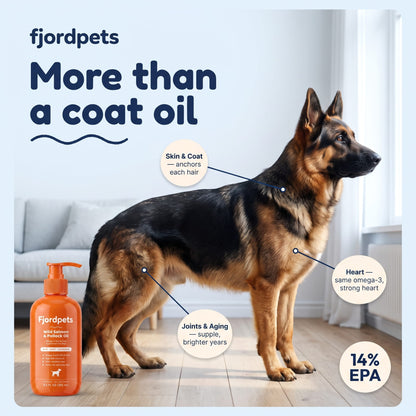 Fjord Coat - Fjordpets